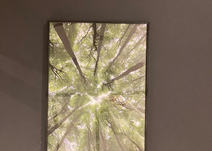 Apartment L'attrape Reve *